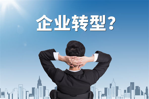 企業(yè)轉(zhuǎn)型無方向，數(shù)智化咨詢公司能否指引明路？