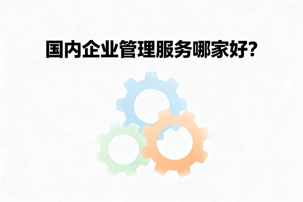 國內(nèi)企業(yè)管理服務(wù)哪家好？